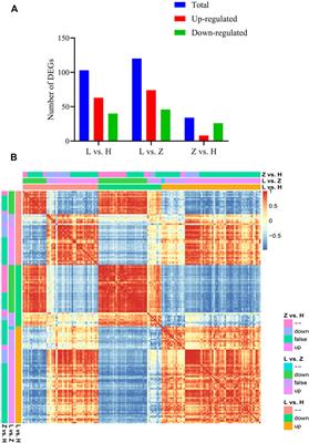 Insight into the molecular mechanisms of leaf coloration in Cymbidium ensifolium